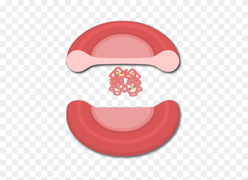 666x550 Transport Of Oxygen In The Blood - White Blood Cell Clipart