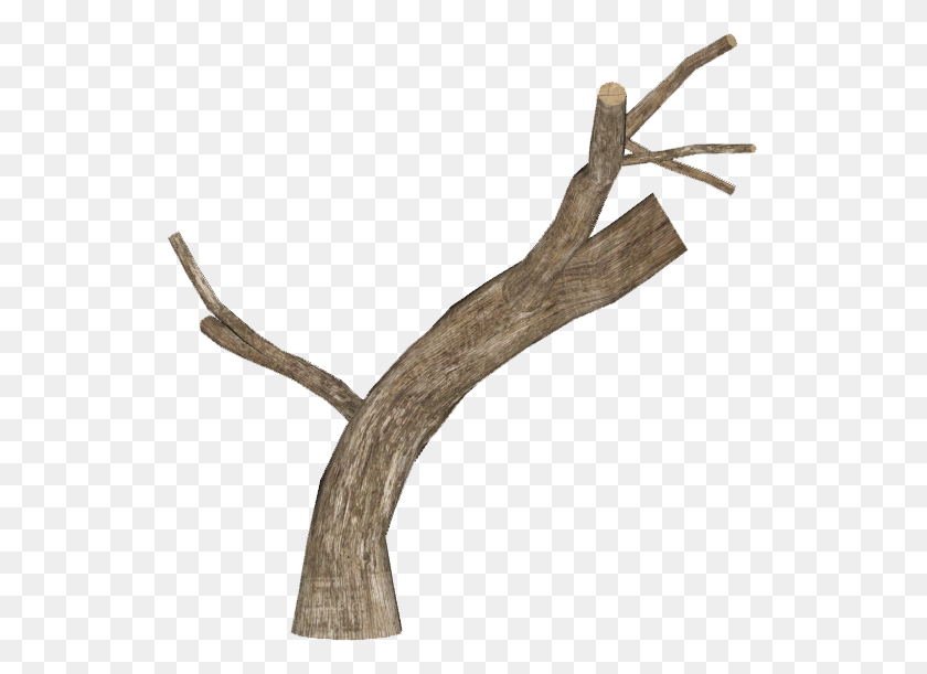 551x551 Trattore Png Image - Árbol Muerto Png
