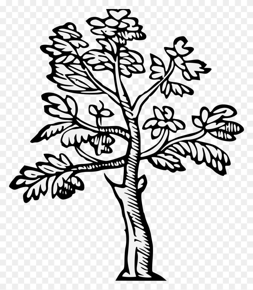 1218x1408 Tree - Oak Tree PNG
