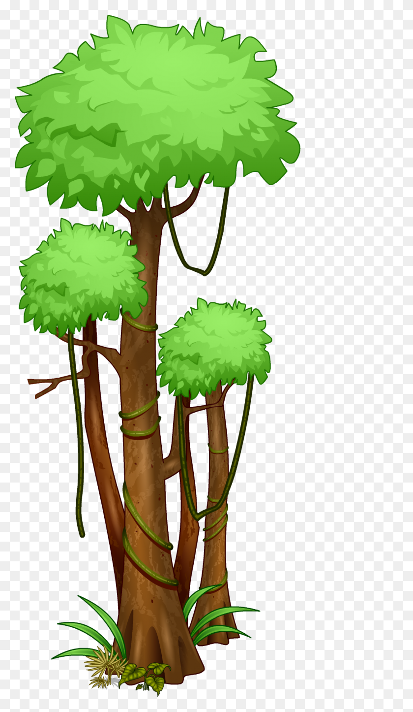 1080x1920 Дерево Тропических Лесов Амазонки Джунгли Тропических Лесов - Джунгли Png