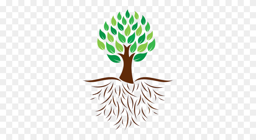 400x400 Tree And Roots Colour Illustration Transparent Png - Roots PNG