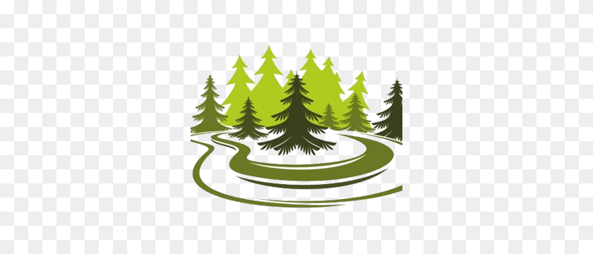 300x300 Tree And You Climate - Forest Trees PNG