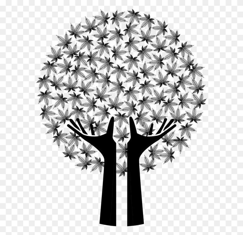 591x750 Дерево Черно-Белые Наркотики Конопли Акварельной Живописи - Акварельное Дерево Png