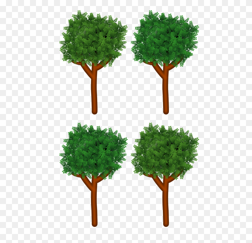 530x750 Rama De Un Árbol Arbusto De Madera Del Bosque - Los Árboles Del Bosque Png
