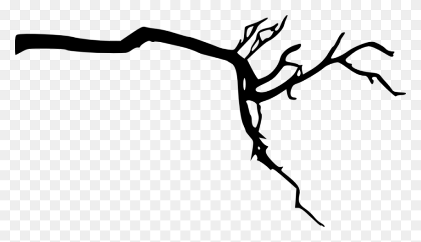850x462 Tree Branch Silhouette Png - Pine Tree Branch PNG