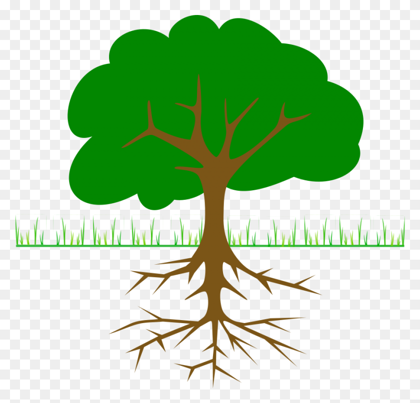 900x862 Tree Branches And Root Clip Arts Download - Branches PNG