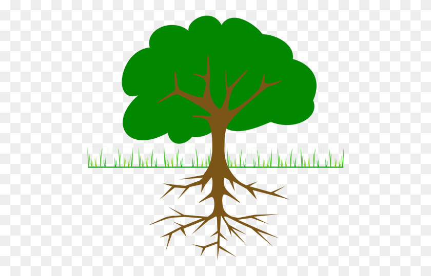 500x479 Tree Branches And Root Vector Drawing - Joshua Clipart