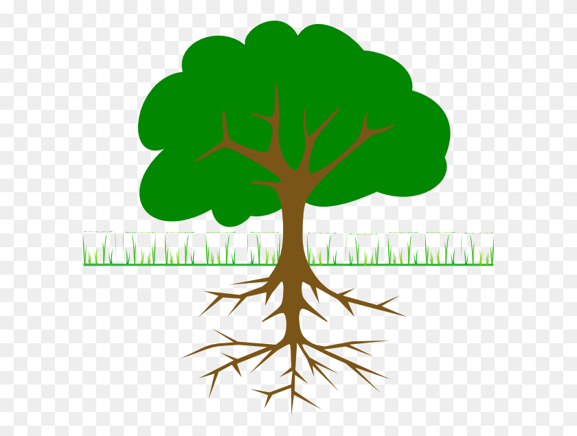 600x575 Tree Branches And Roots Clip Art Free Vector - Slippery Clipart