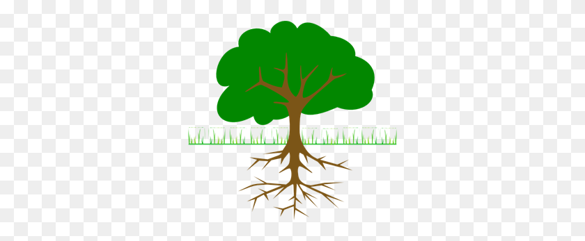 300x287 Tree Branches And Roots Png Clip Arts For Web - Roots PNG
