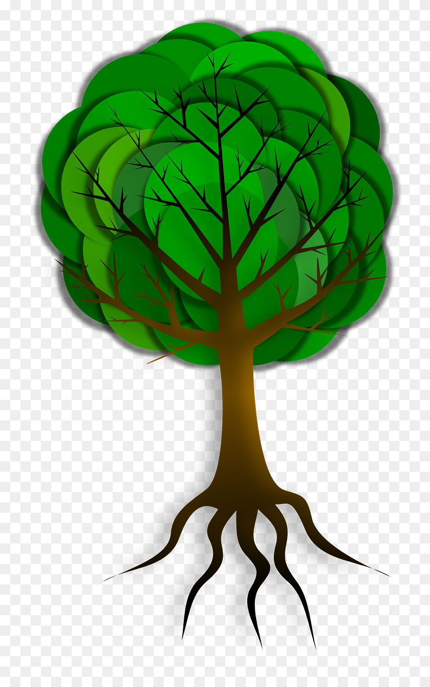 736x1280 Tree Branches Roots Skeleton Transparent Image Tree - Transparent Tree With Roots Clipart