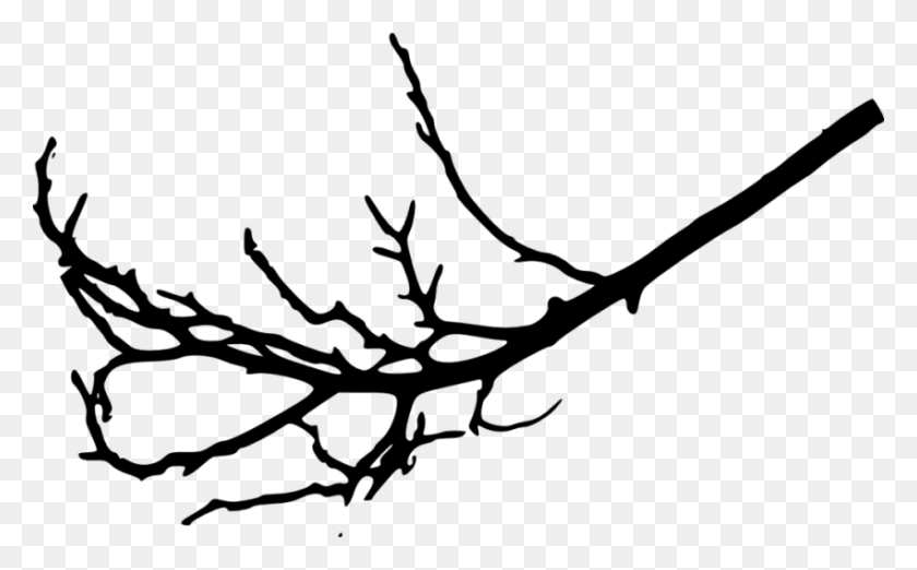 850x504 Tree Branches Silhouette Png - Tree Line PNG