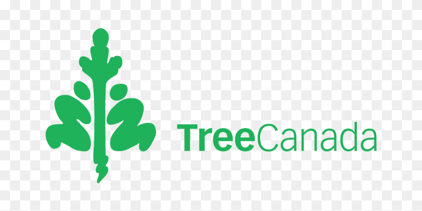 1025x475 Tree Canada - Vista En Planta De Árbol Png