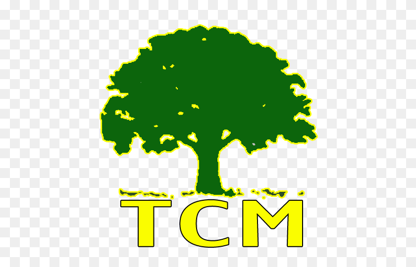 Tree Climbers Malaysia About Us - Arborist Clipart