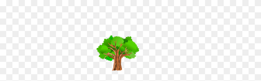 300x202 Дерево Клип Арт Бесплатный Вектор - Бесплатный Клипарт Дерево