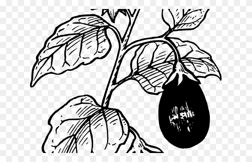 640x480 Tree Clipart Eggplant - Eggplant Clipart Black And White