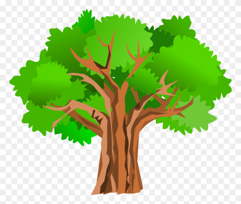 800x667 Tree Clipart High Resolution Clip Art Images - Trees Silhouette PNG