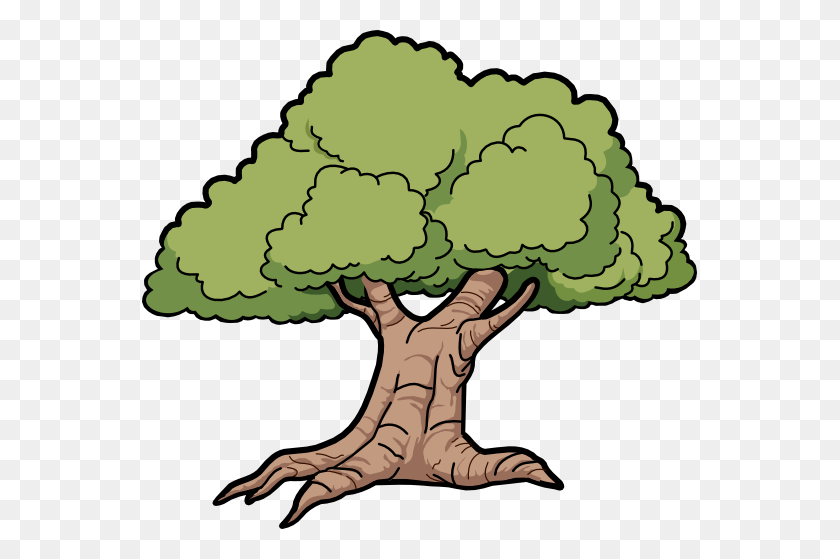 555x499 Tree Clipart Molave - Driftwood Clipart
