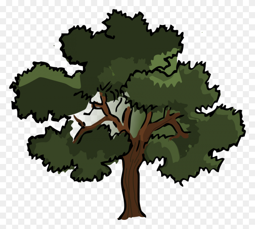 900x801 Tree Clipart Oak Tree - Pine Bough Clipart