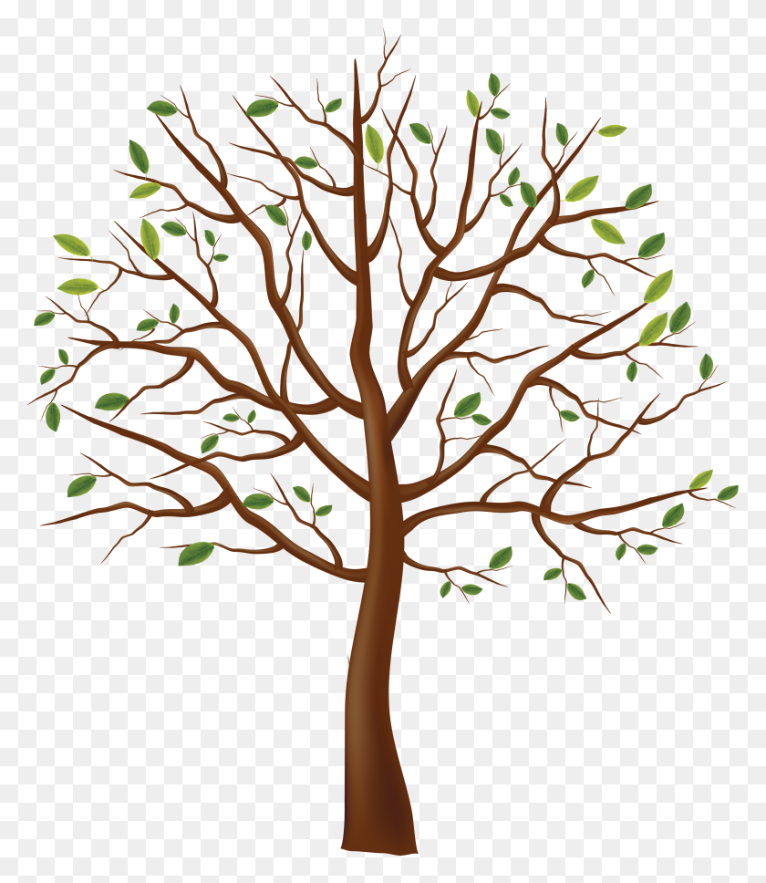 2968x3456 Tree Clipart Png - Tree Transparent Clipart