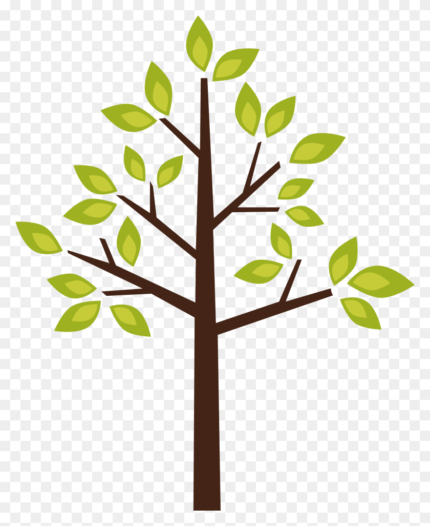 1687x2091 Tree Clipart Png Image - Tree Clip Art PNG