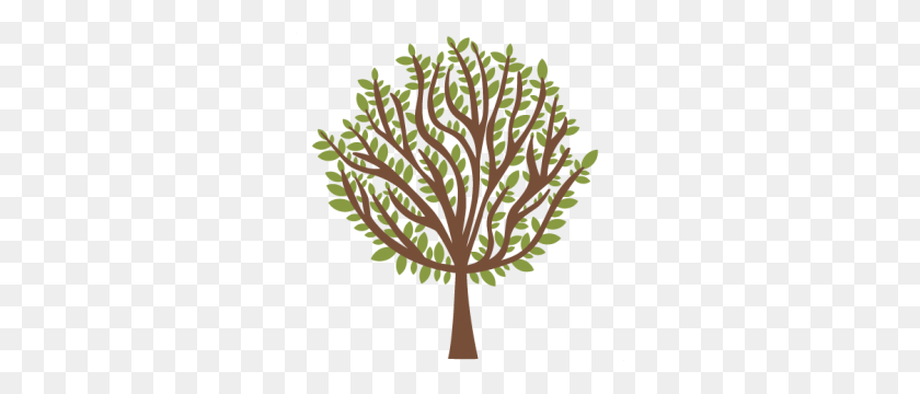 300x300 Tree Cricut, Альбом Для Вырезок И Скрапбукинг - Дерево Плакучей Ивы Клипарт