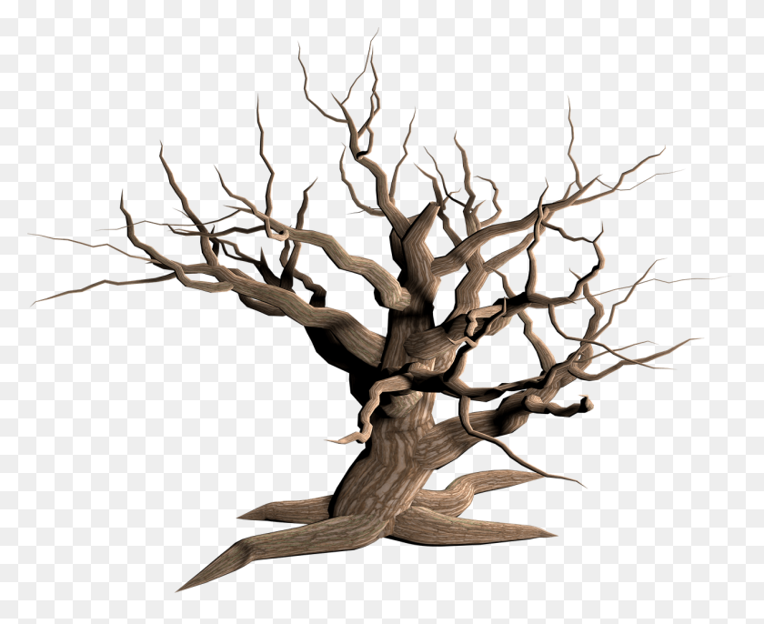 1280x1028 Tree Dead Branches Transparent Png - Tree PNG Transparent