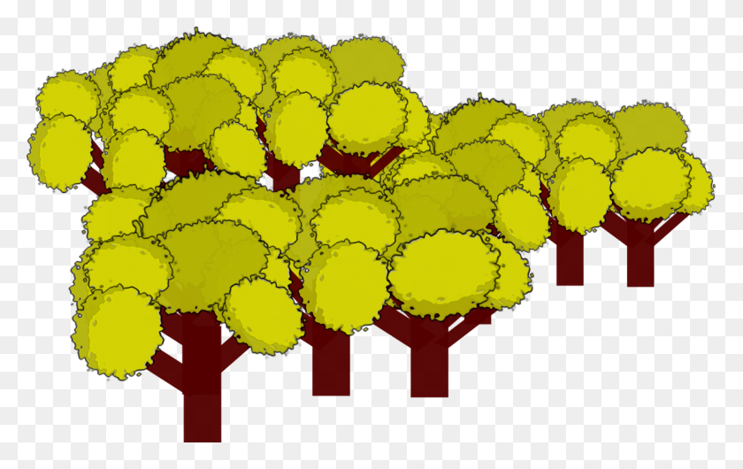 1243x750 Tree Download Computer - Magic Treehouse Clipart