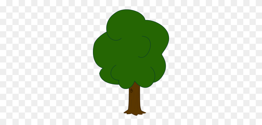 244x340 Дерево Скачать Рисунок Секвойи Лиственница - Redwood Клипарт