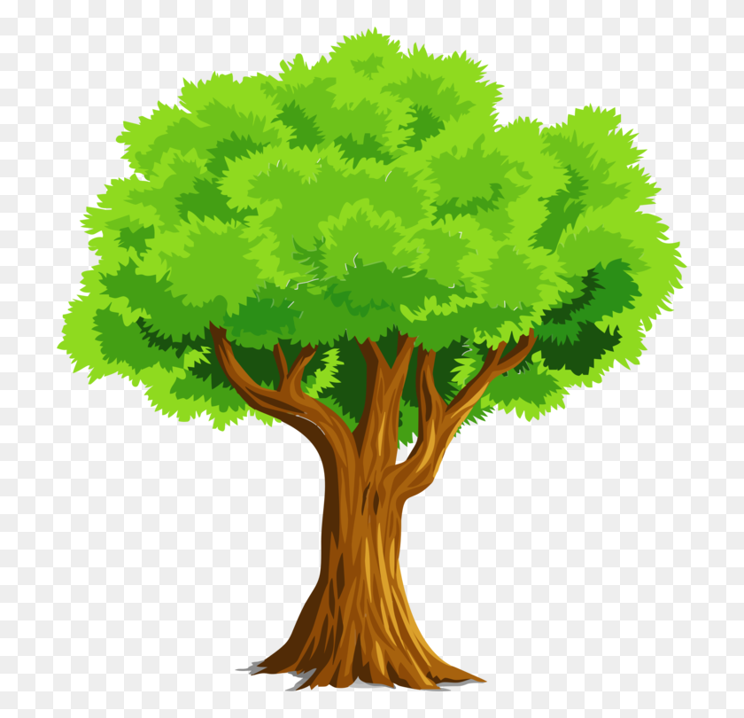 712x750 Tree Download Oak Woody Plant - Planting Trees Clipart