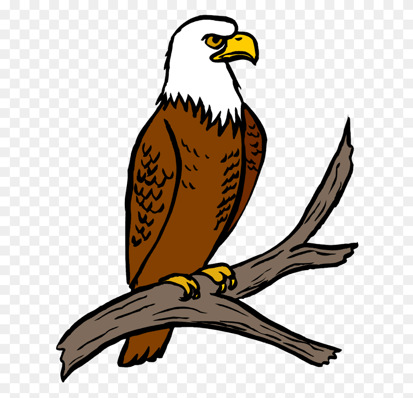 620x750 Клипарт Tree Eagle, Исследуйте Картинки - Bird In Tree Clipart