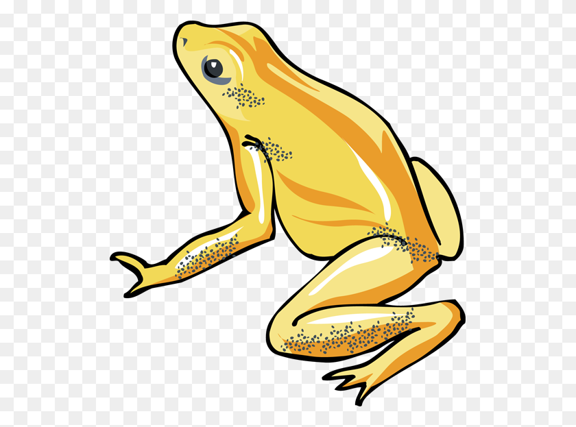 519x563 Tree Frog Clip Art - Baby Frog Clipart