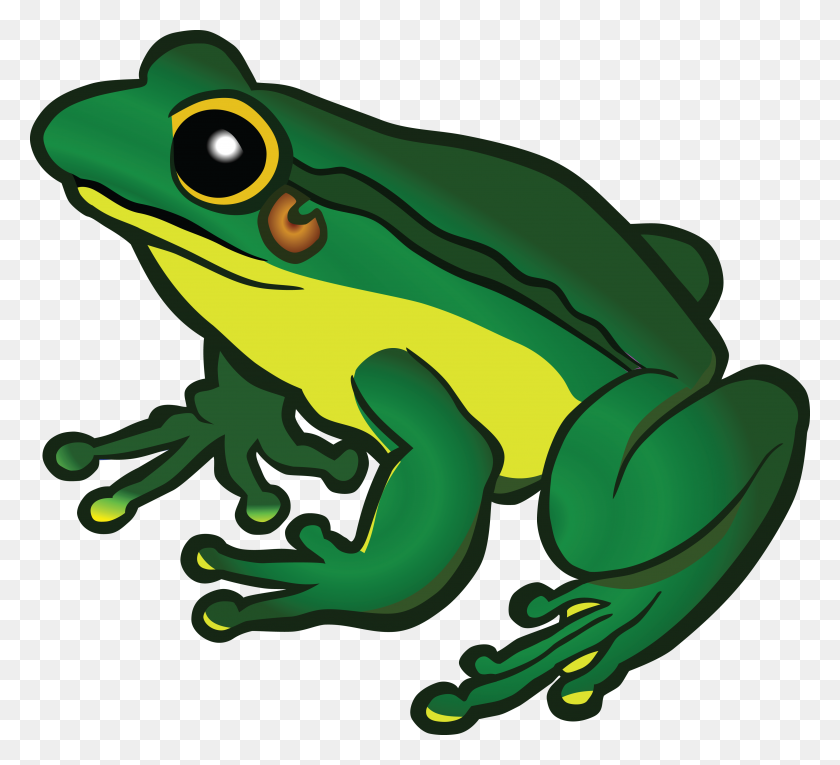 4000x3618 Tree Frog Clipart Clip Art - Cute Frog Clipart
