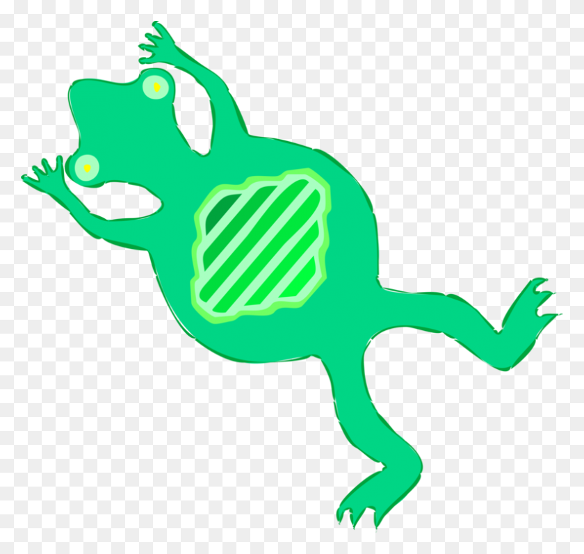 793x750 Tree Frog Computer Icons Download - Green Frog Clipart