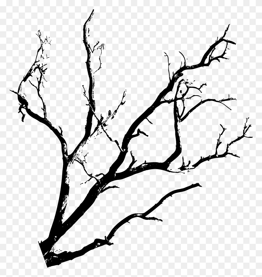 2244x2378 Tree Halloween - Black Tree PNG