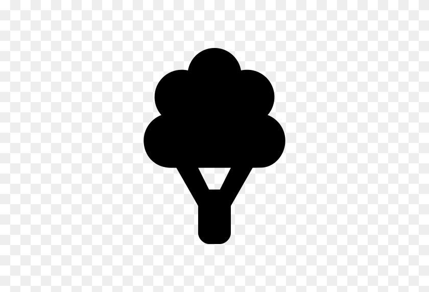 512x512 Tree Icon - Tree Symbol PNG