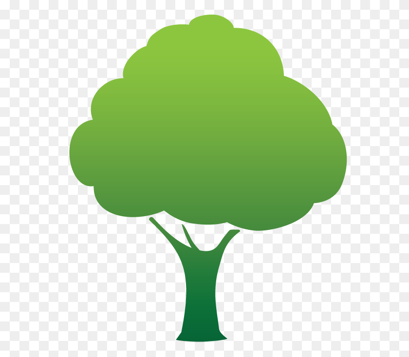 605x673 Tree Icons - Tree Symbol PNG