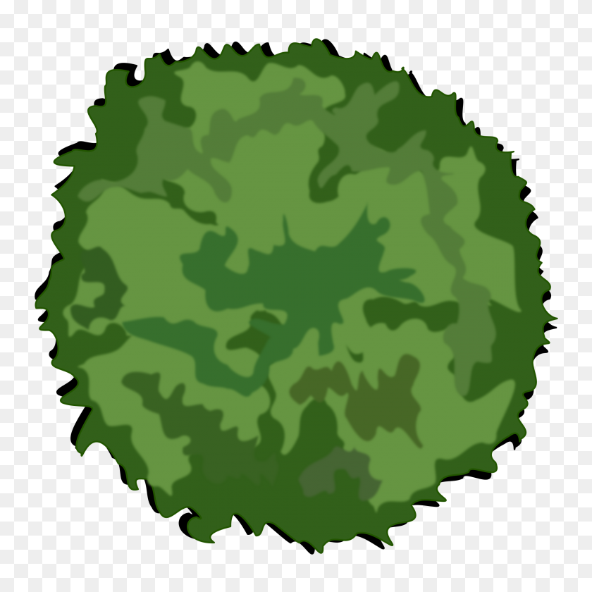 2400x2400 Tree Icons Png - Tree PNG Transparent