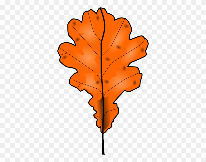 372x598 Tree Leaf Clip Art - Tree Leaves PNG