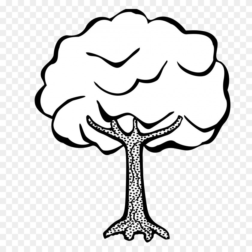 2400x2400 Tree Line Art - Coconut Clipart Black And White