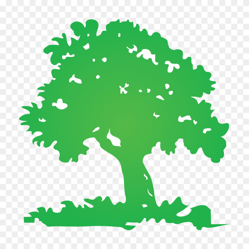 1000x1000 Логотипы Дерево - Логотип Дерево Png