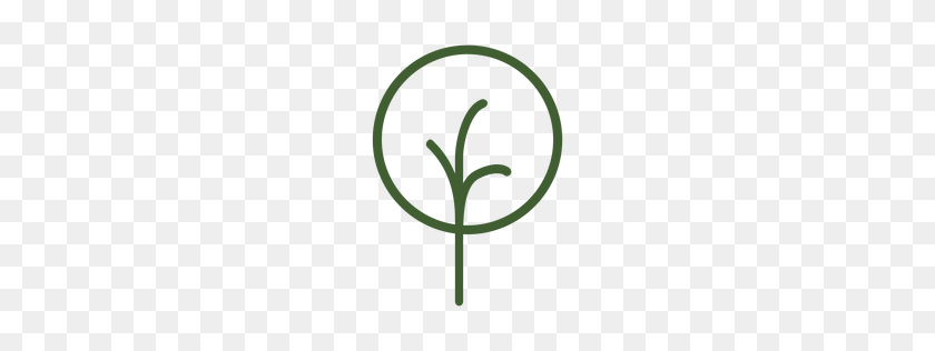 256x256 Tree Logos To Download - Tree Logo PNG