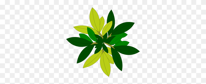 300x285 Tree No Leaves Free Clipart - Tea Leaves Clipart