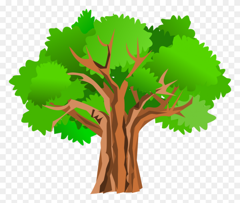 898x750 Дерево Дуб Ствол Рисунок - Красное Дерево Клипарт С Деревом