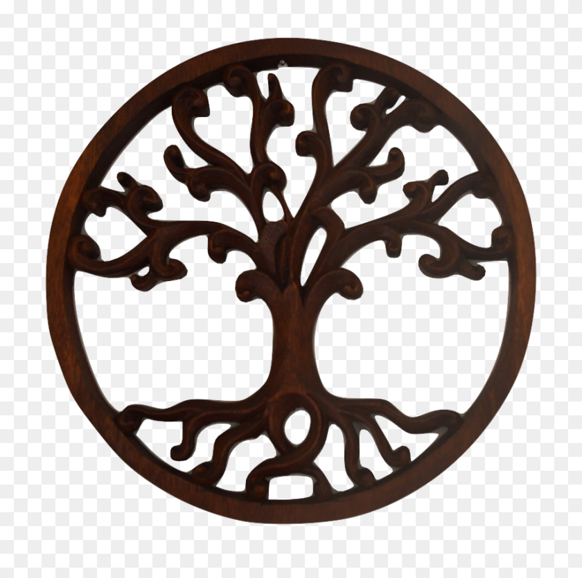 852x847 Tree Of Life - Tree Of Life PNG