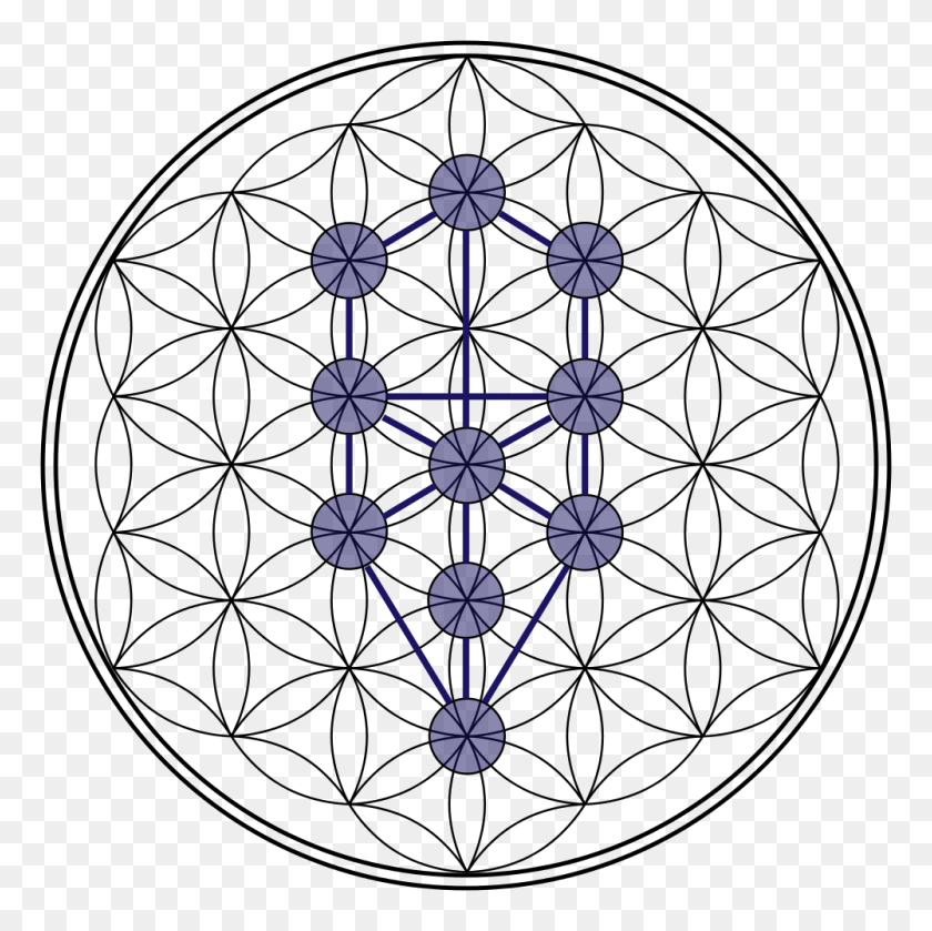 1000x1000 Tree Of Life Flower Of Life Stage - Tree Of Life PNG