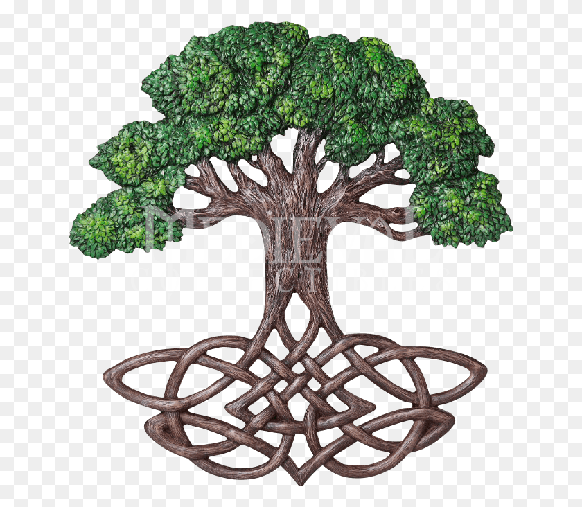 672x672 Tree Of Life Plaque - Tree Of Life PNG
