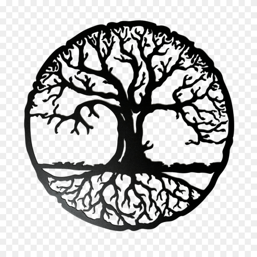 800x800 Tree Of Life Roots - Tree Of Life PNG
