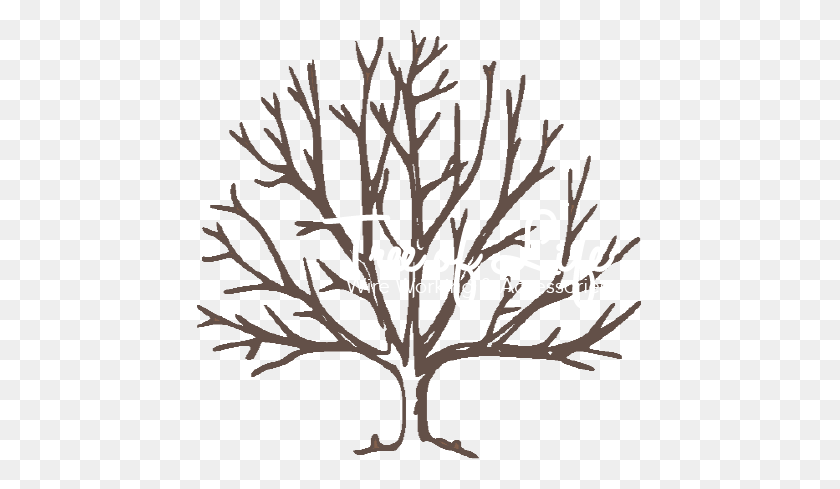 445x429 Tree Of Life Wire Working Accessories - Tree Of Life PNG