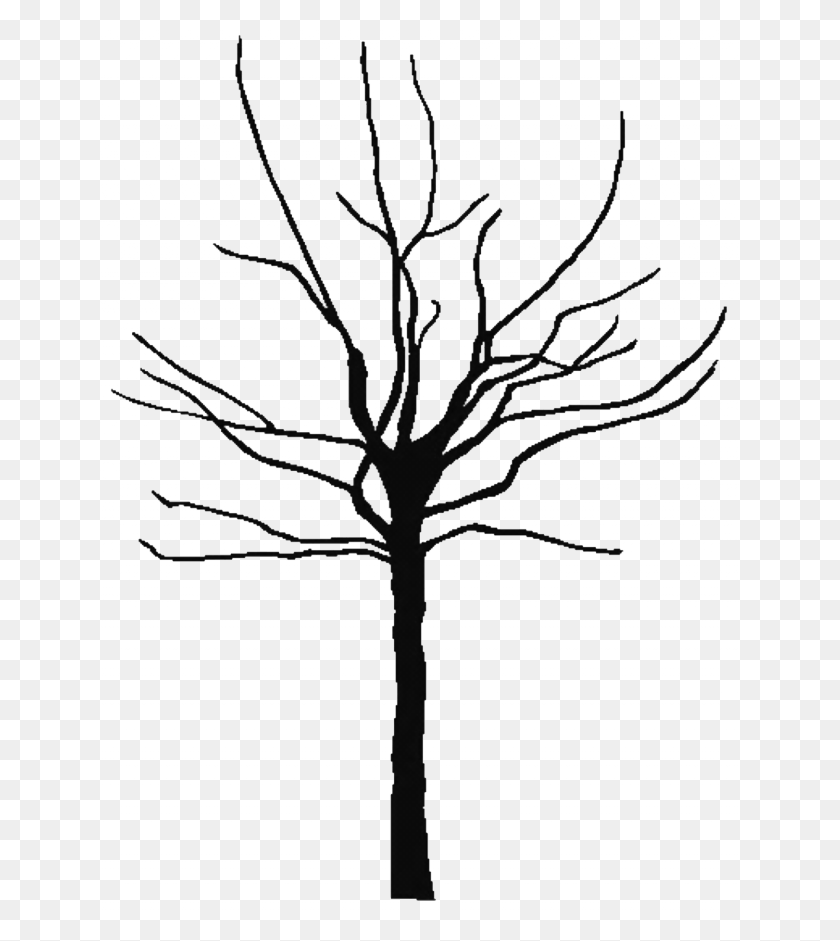 640x881 Tree Outline Cliparts - Tree Clipart Black And White No Leaves
