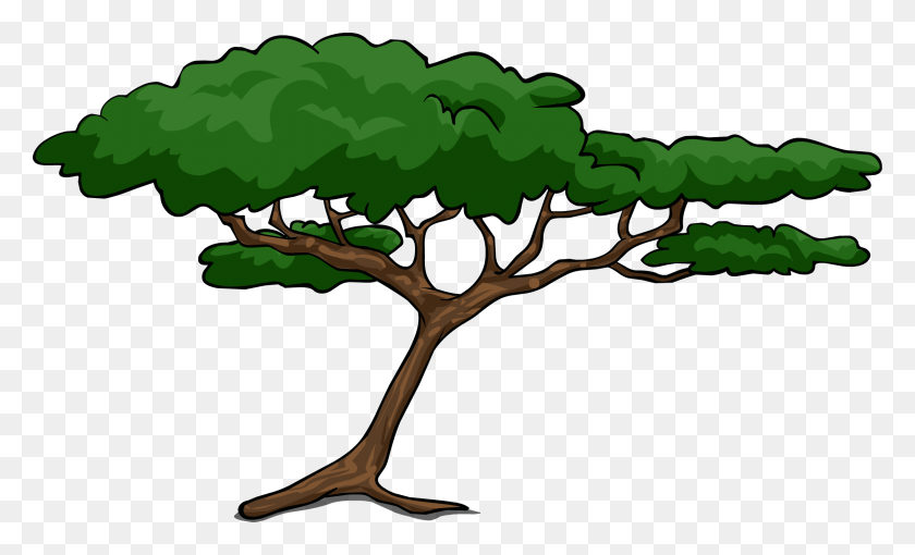 2273x1312 Дерево, Нависающее Клипарт, Картинки - Кипарис, Клипарт
